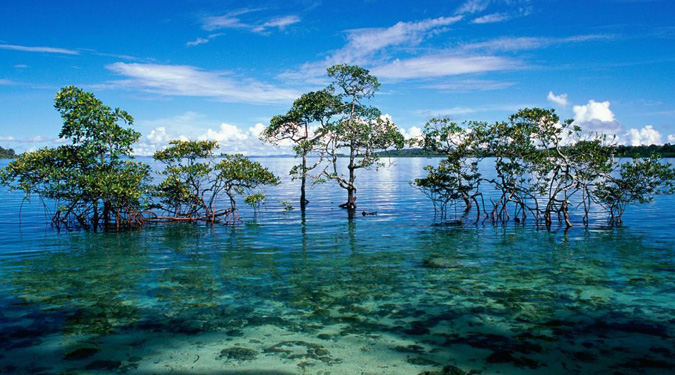 <h3>5. Propriété intellectuelle et contrefaçons.</h3>
<p>François Derock est propriétaire des droits de propriété intellectuelle ou détient les droits d’usage sur tous les éléments accessibles sur le site, notamment les textes, images, graphismes, logo, icônes, sons, logiciels.</p>
<p>Toute reproduction, représentation, modification, publication, adaptation de tout ou partie des éléments du site, quel que soit le moyen ou le procédé utilisé, est interdite, sauf autorisation écrite préalable de : François Derock.</p>
<p>Toute exploitation non autorisée du site ou de l’un quelconque des éléments qu’il contient sera considérée comme constitutive d’une contrefaçon et poursuivie conformément aux dispositions des articles L.335-2 et suivants du Code de Propriété Intellectuelle.</p>
